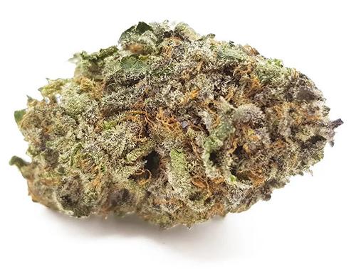 Green Crack Strain Review: Energizing, Citrus, Daytime Sativa