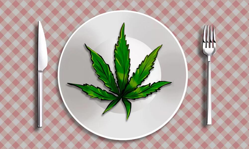 Cannabis and Appetite: An Honest Guide to the Topic