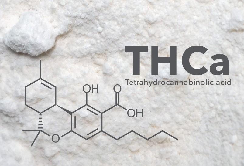What Is THCA? How It Becomes THC and Why It Matters