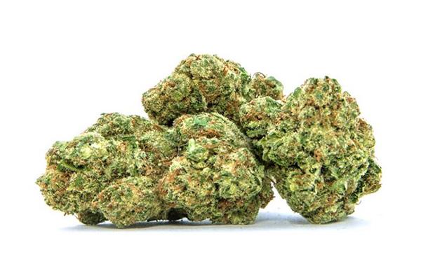 Black Jack Strain Review: Uplifting, Piney, Long Lasting
