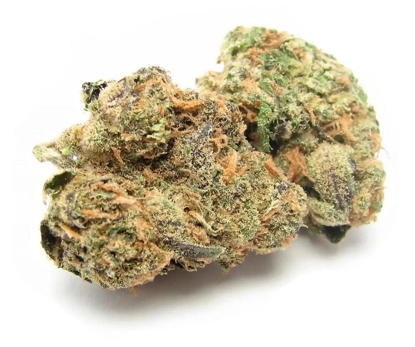X-File Marijuana Strain Review: A Sativa Hybrid