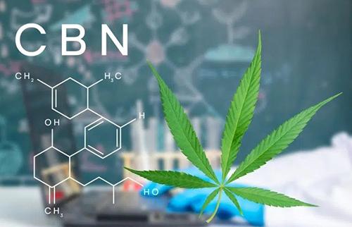 What Is CBN? Effects, Benefits and How It Differs from CBD
