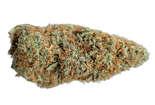 gelato cannabis strain review