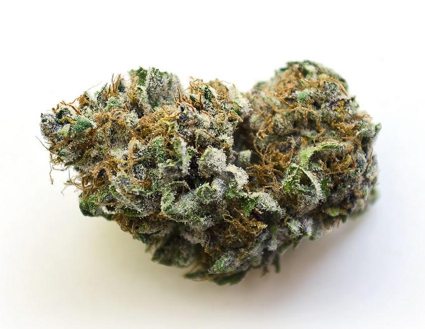 Oregon Diesel Strain Review: A Gassy West Coast Hybrid