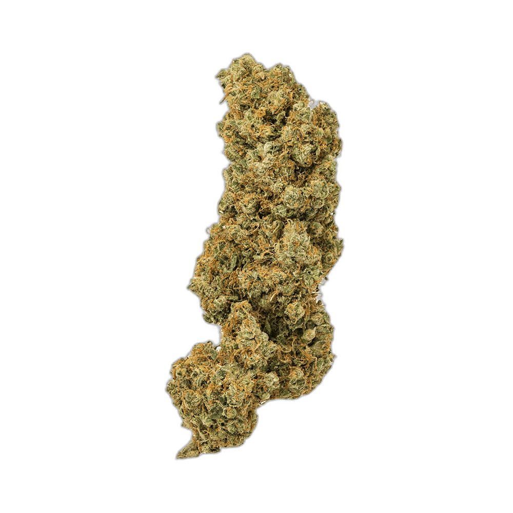 super silver haze sativa 2