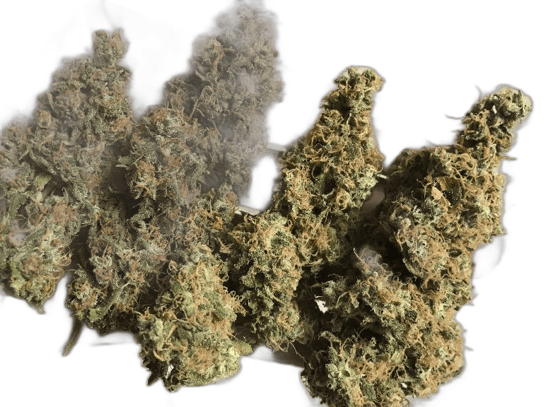 OG Kush