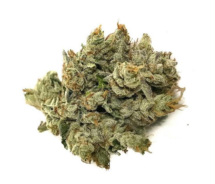 Kush Effects: What Is OG Kush Cannabis, Explained