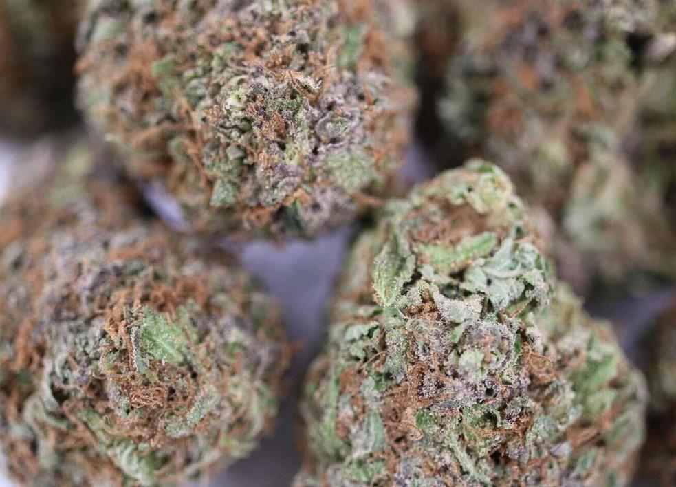Outlaw Haze Strain Review: A Bold Sativa Standout Pick