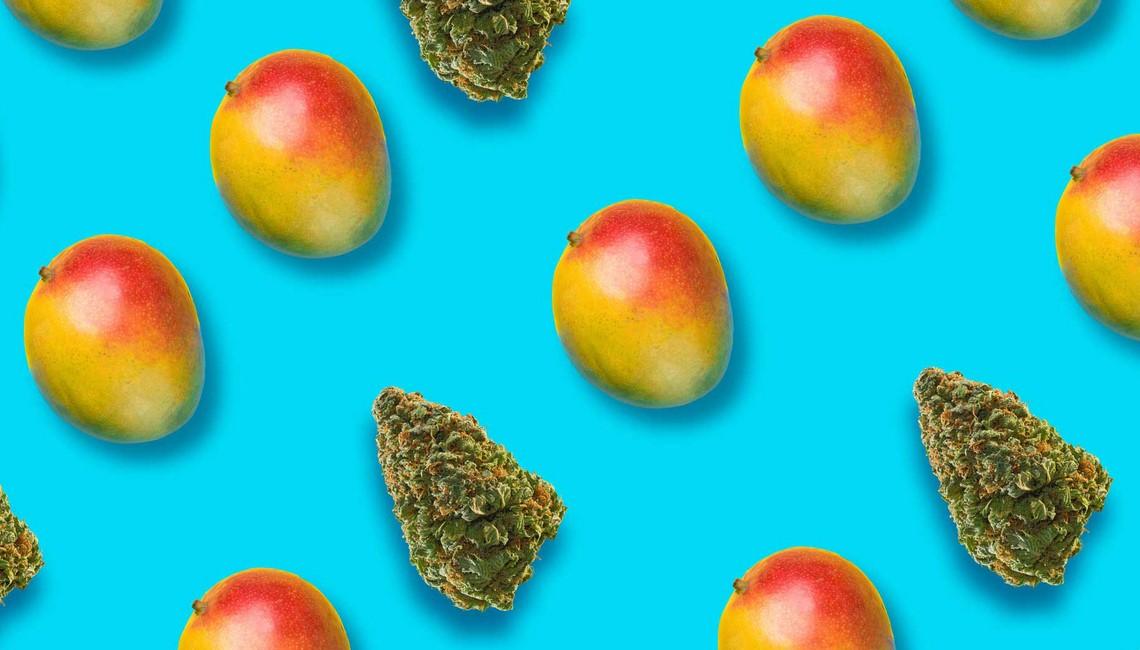 Mango Weed Strain Review: Sweet Tropical Indica Classic