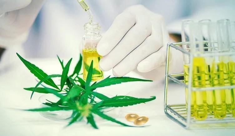 Best CBD Pills and Capsules: A Simple Buying Guide