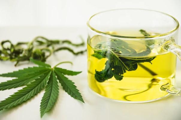 Marijuana Tea: How to Make It and What to Expect