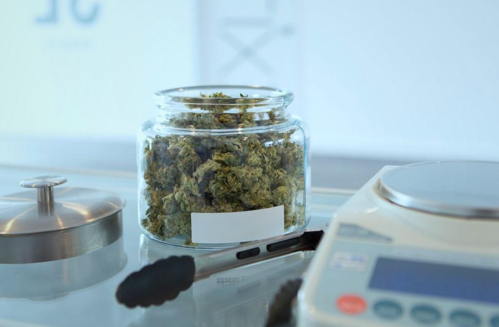 How to Become a Budtender: A Real Guide to the Job