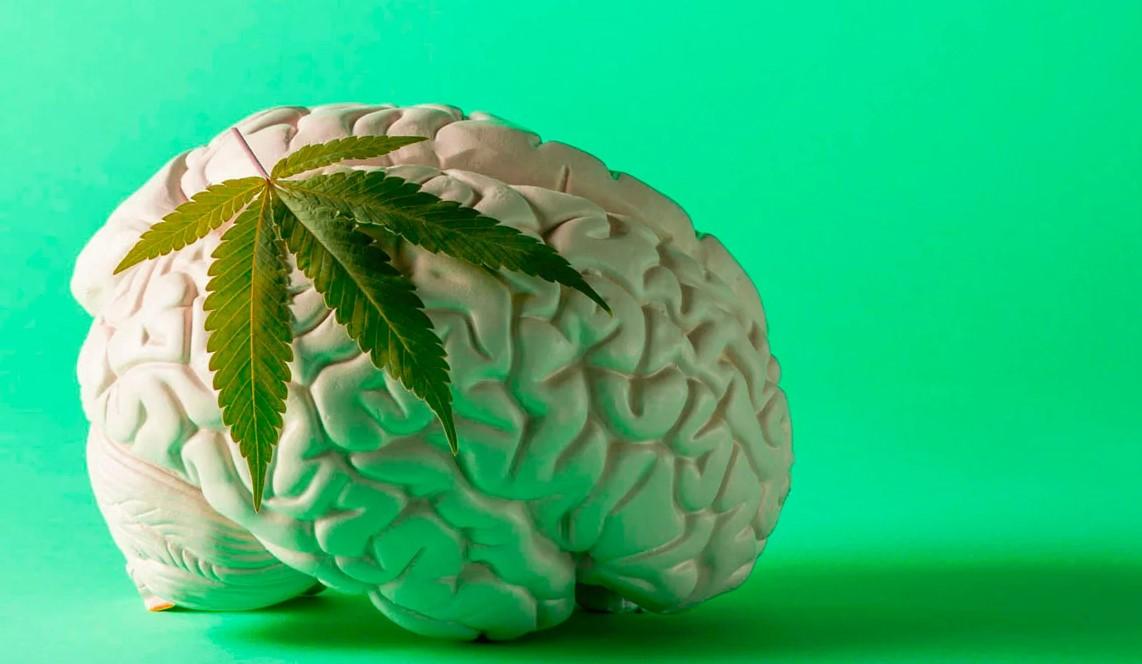 Cannabis Tolerance Breaks: What They Are and When