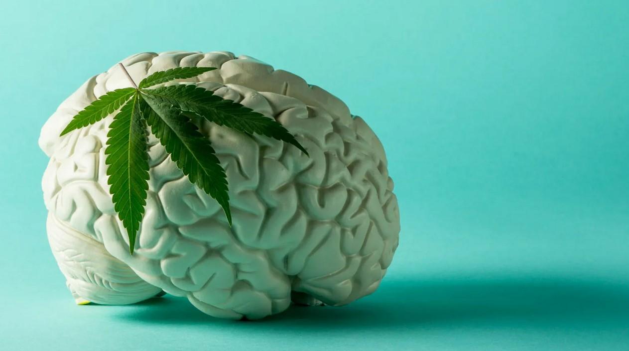 Cannabis: Does It Really Open Your Mind and Spark Ideas?