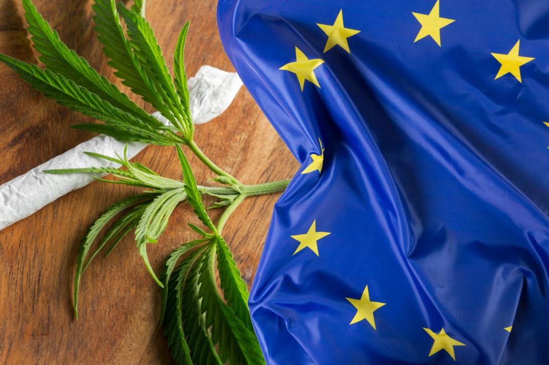 Cannabis in Europe: Laws, Access and How Countries Compare