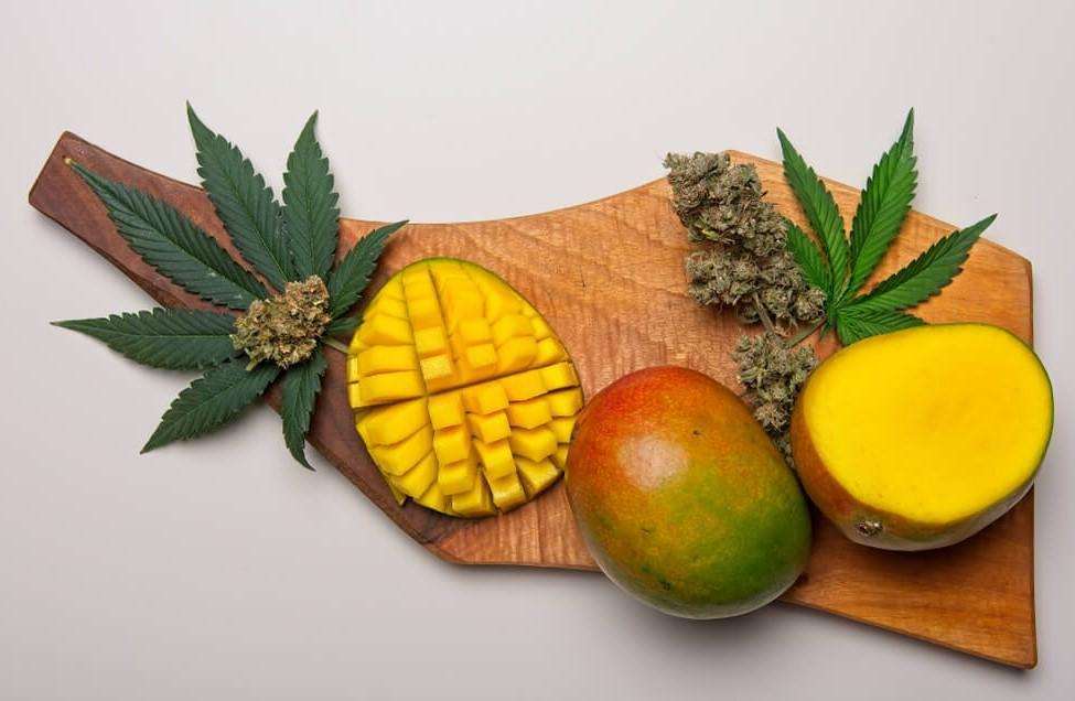 Does Eating Mango Get You Higher? The Real Answer