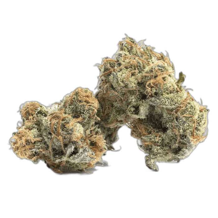 Purple Peyote Indica
