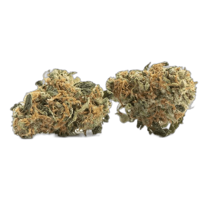 Trix Sativa