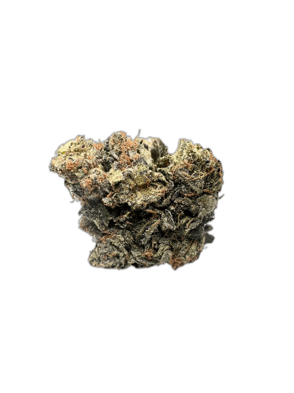 Gucci Pink Indica