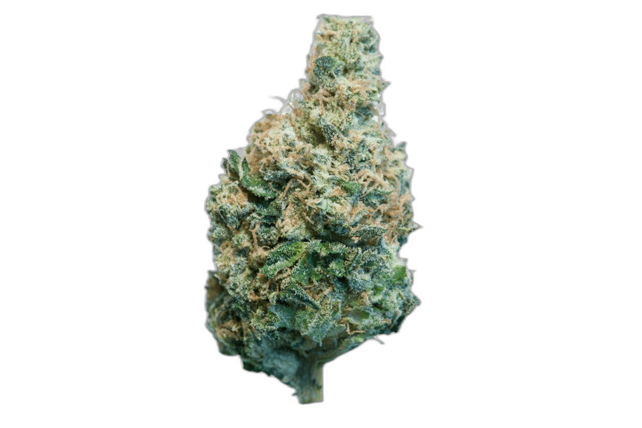 sour dough
