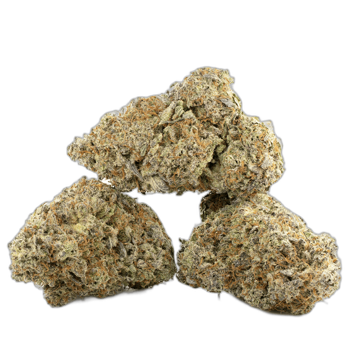Afgoo Multi Shot