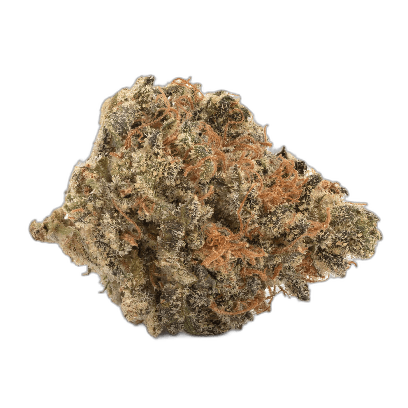 Alien Dawg