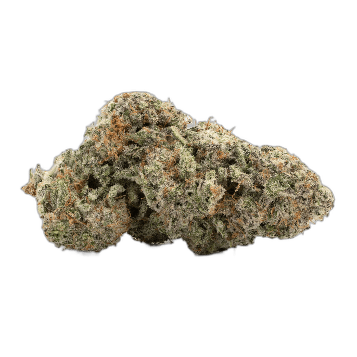 Animal Cookies