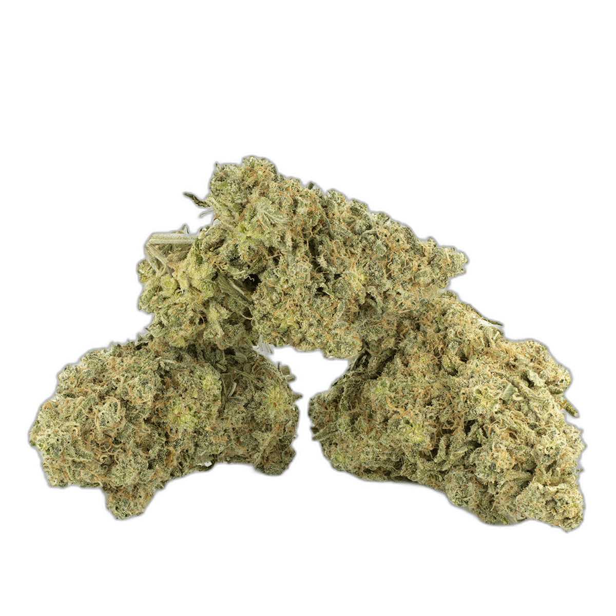 Apple Fritter Multi Shot
