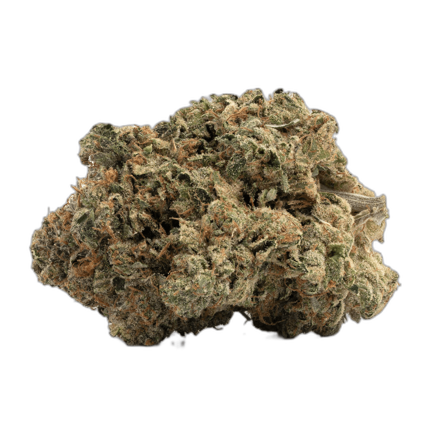 Astro Pink Strain