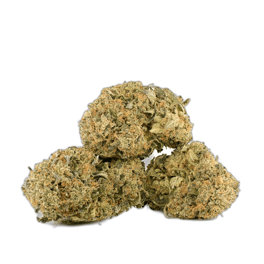BC Kush Strain Multi Shot