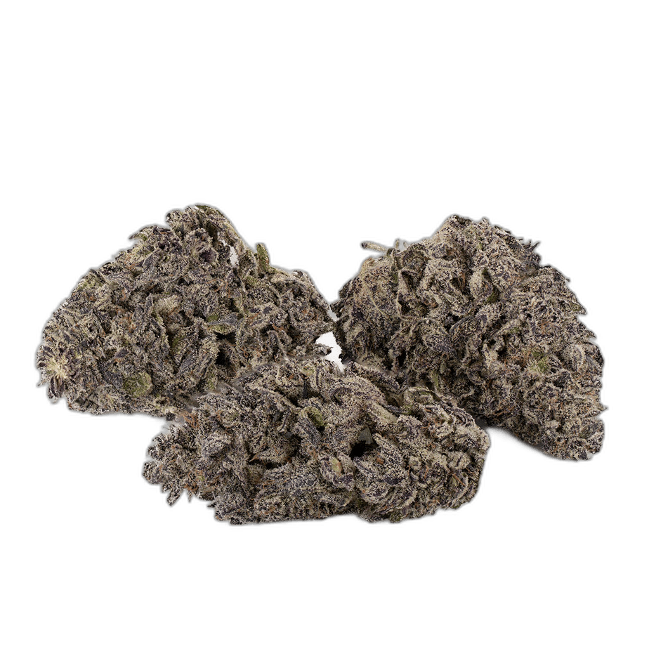 Black Truffle Multi Shot