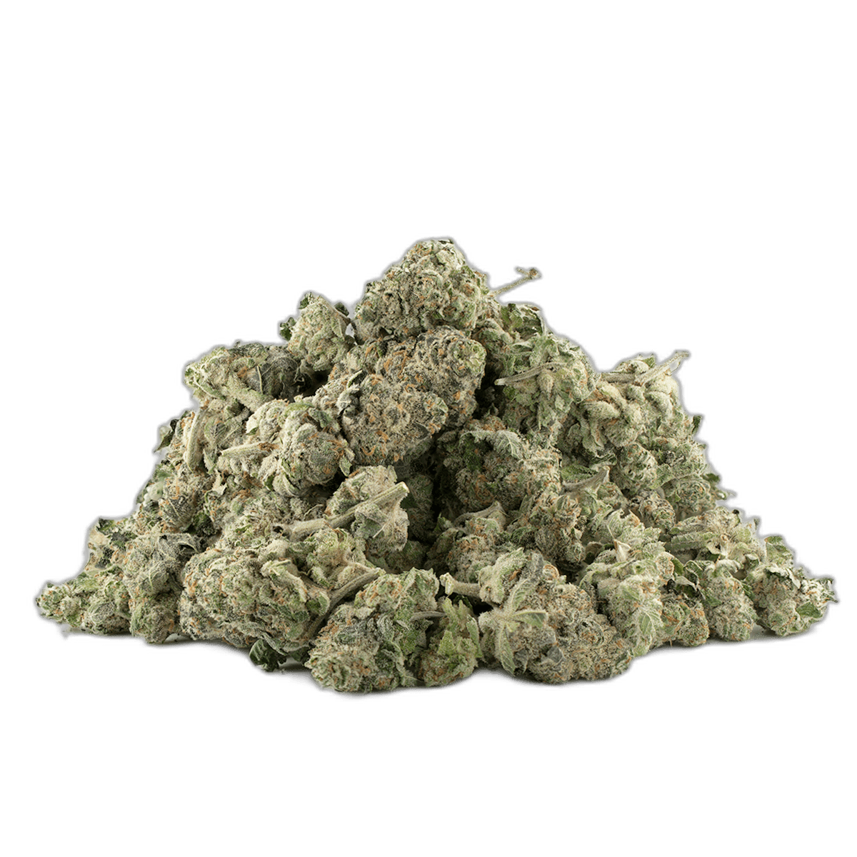 Blue Dream Multi Shot