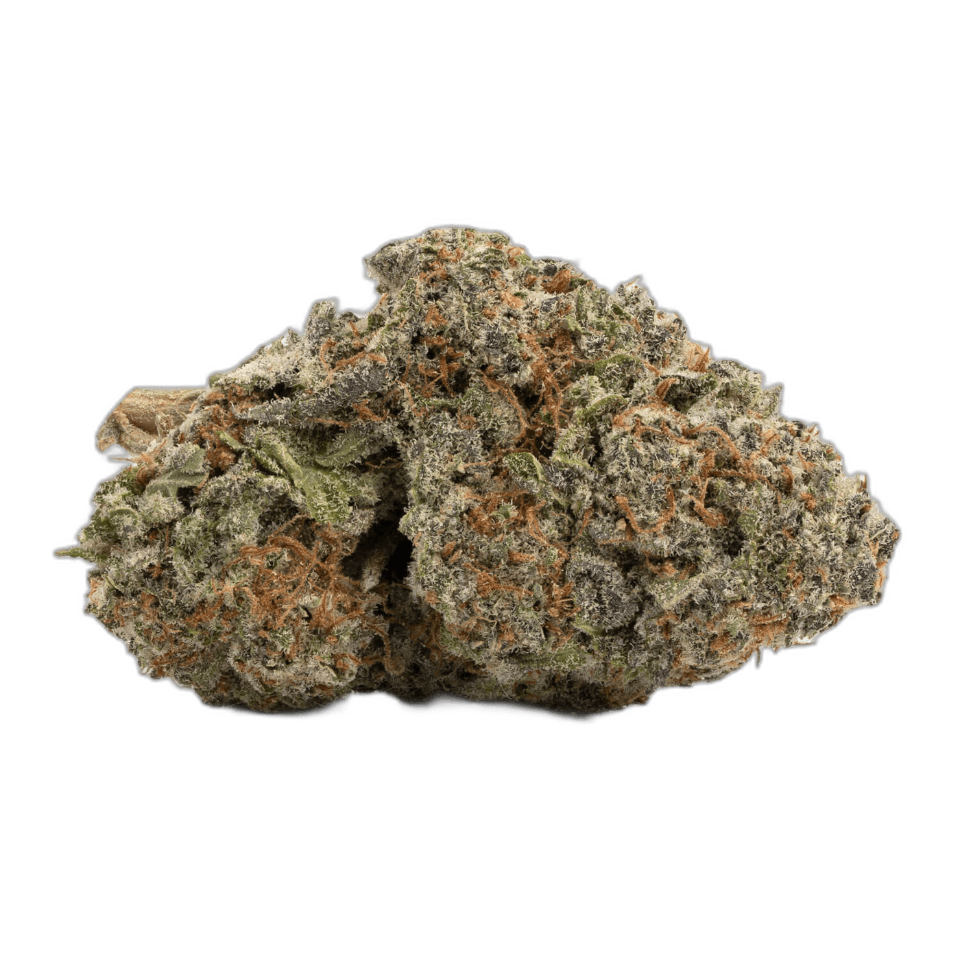 Blueberry Cheesecake