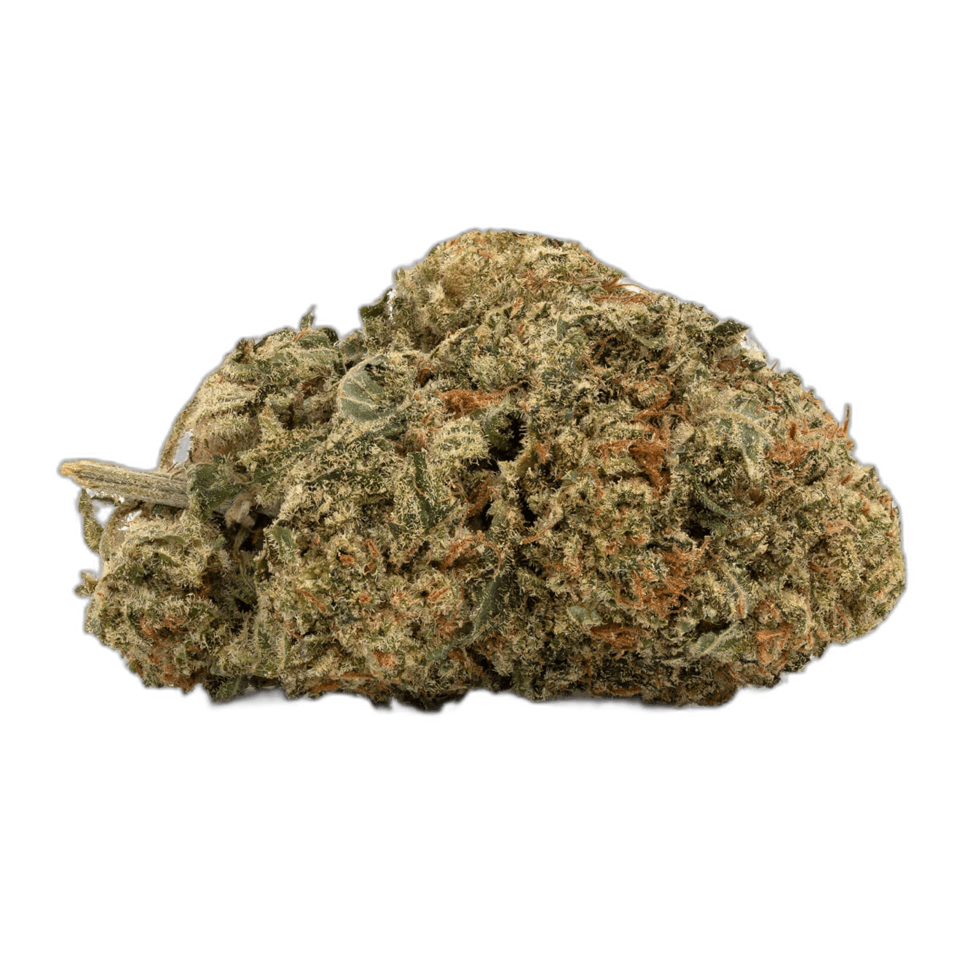 Blueberry Pie Strain