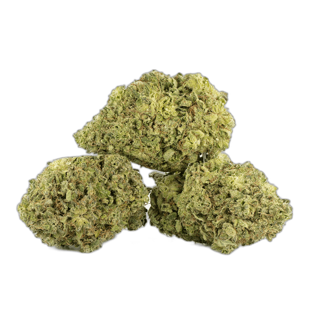 Bruce Banner 3 Multi Shot