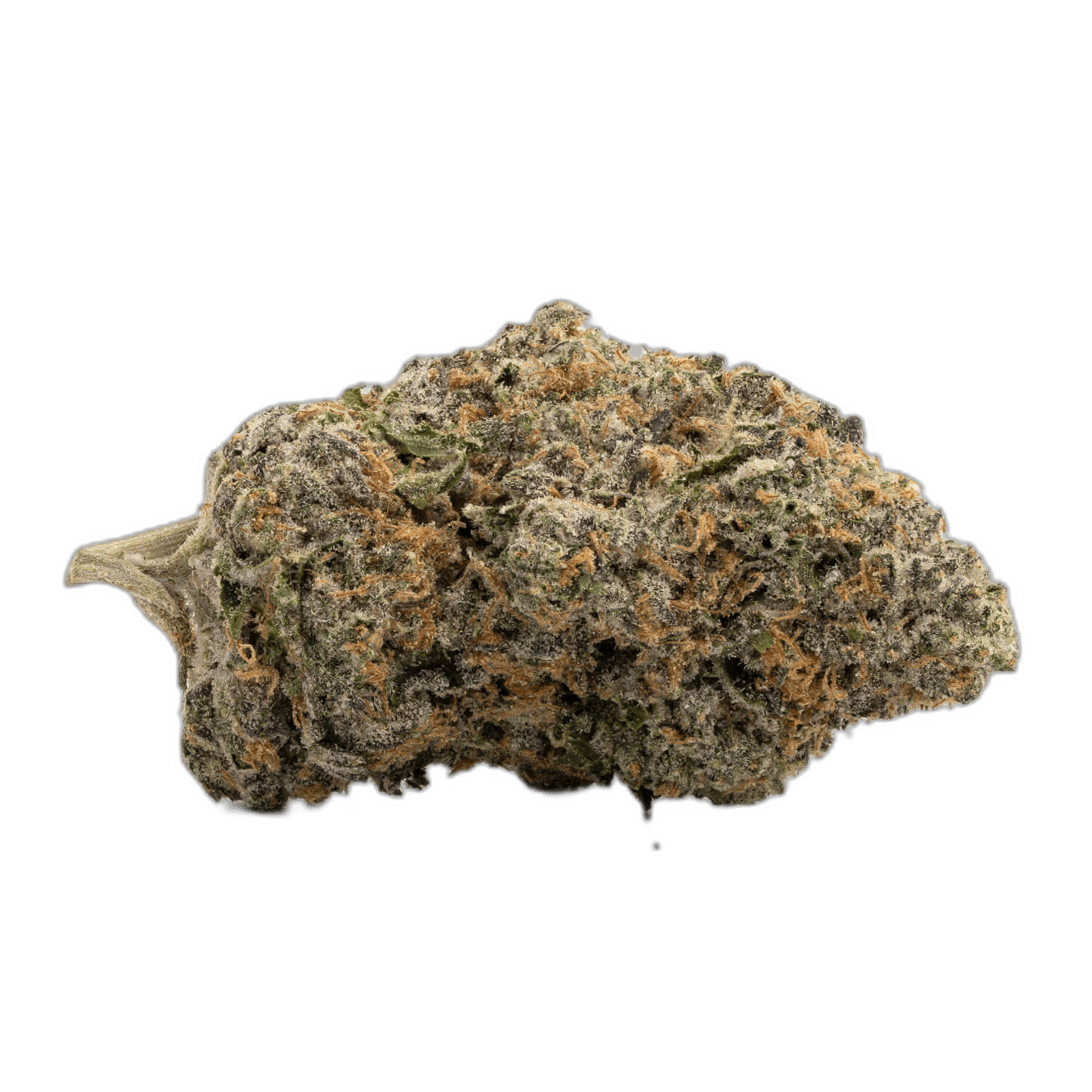 Bubba