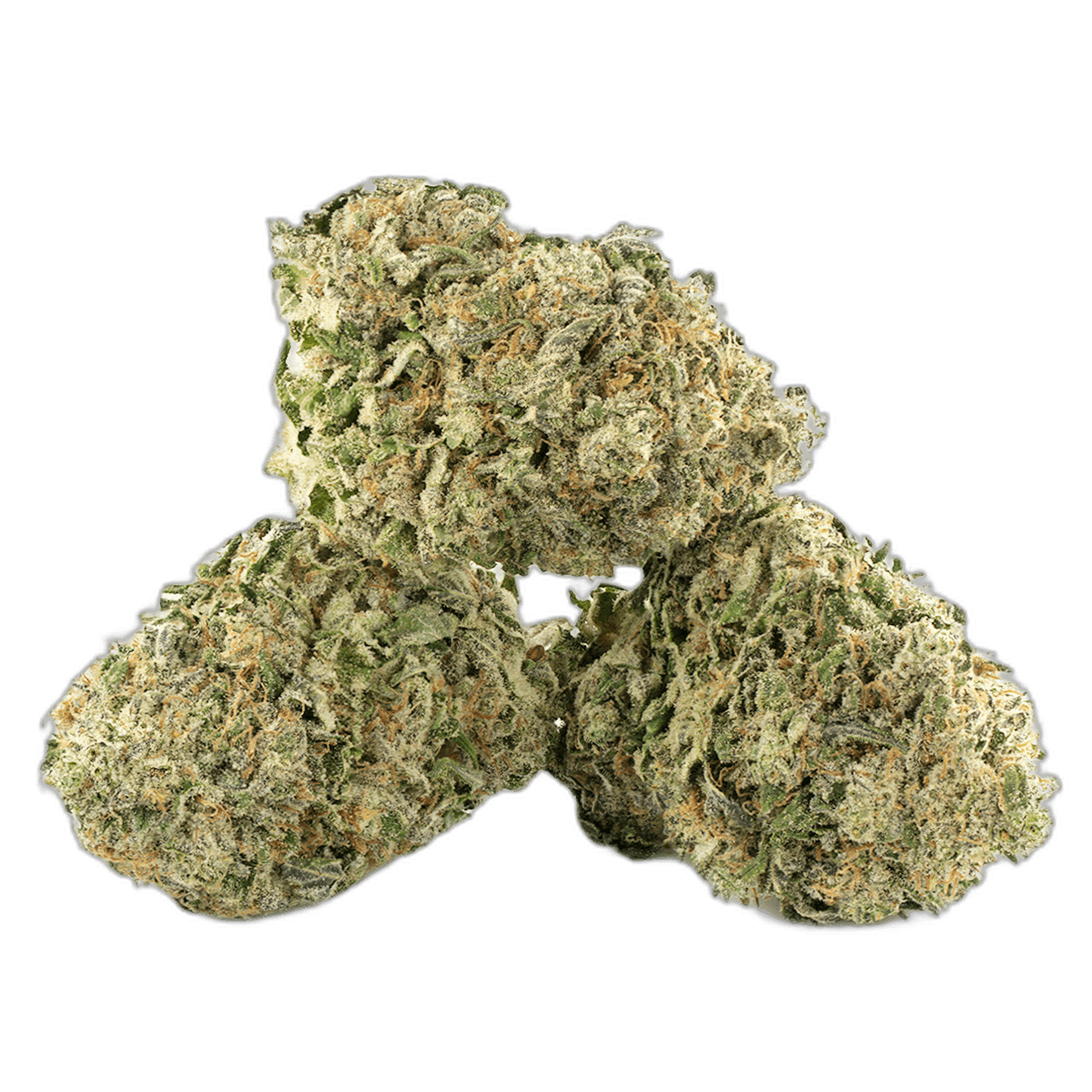 Candyland Multi Shot