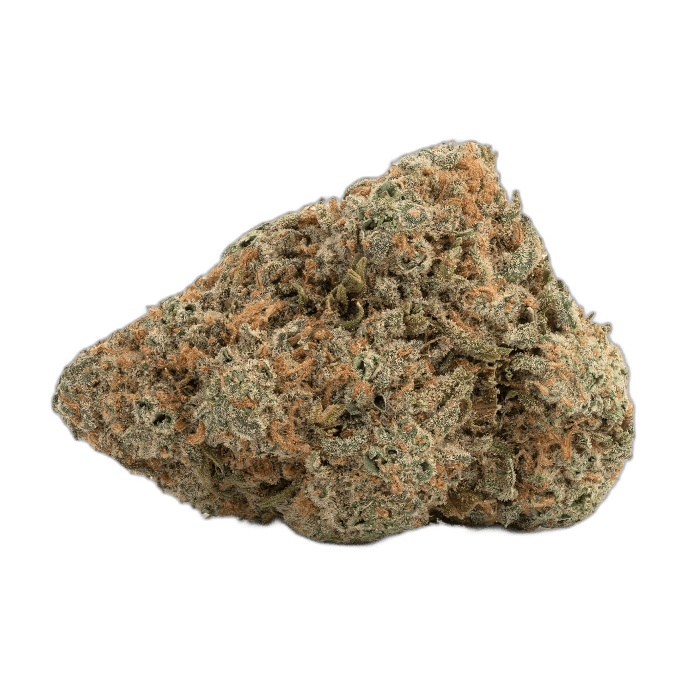 Chocolope