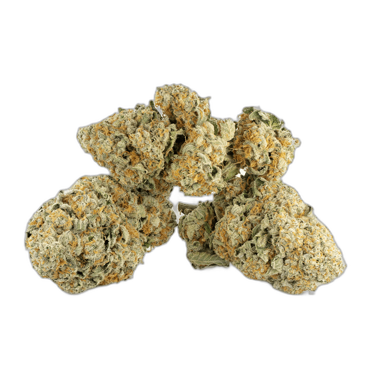 Cookies and Cream Multi Shot