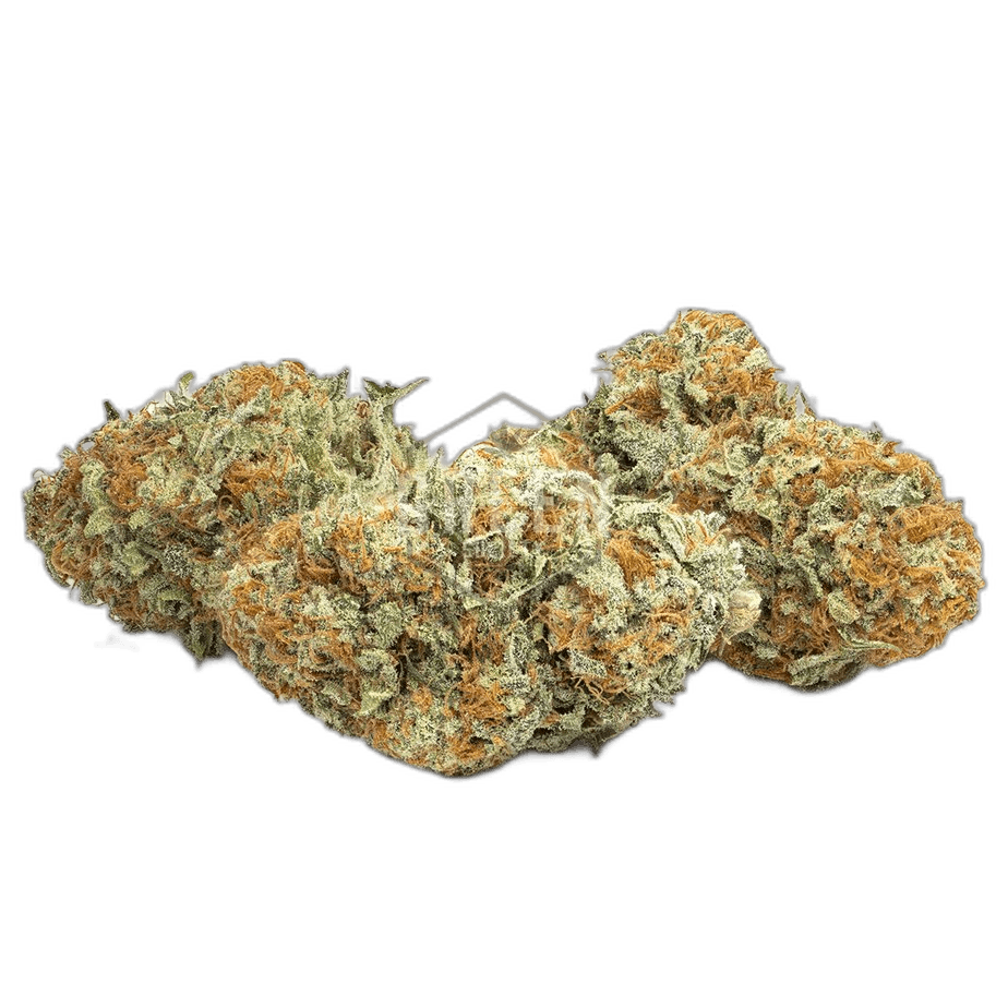 Crunch Berries by Exotic Genetix
