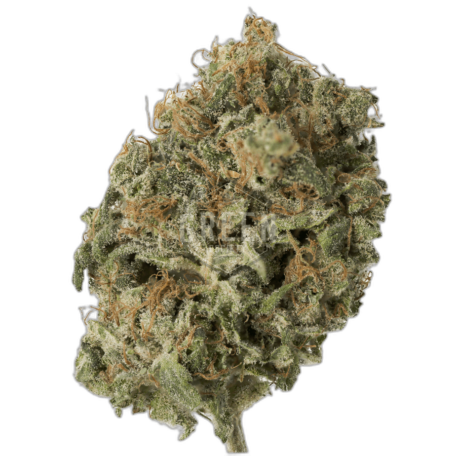 Diesel Dough by Archive Seed Bank