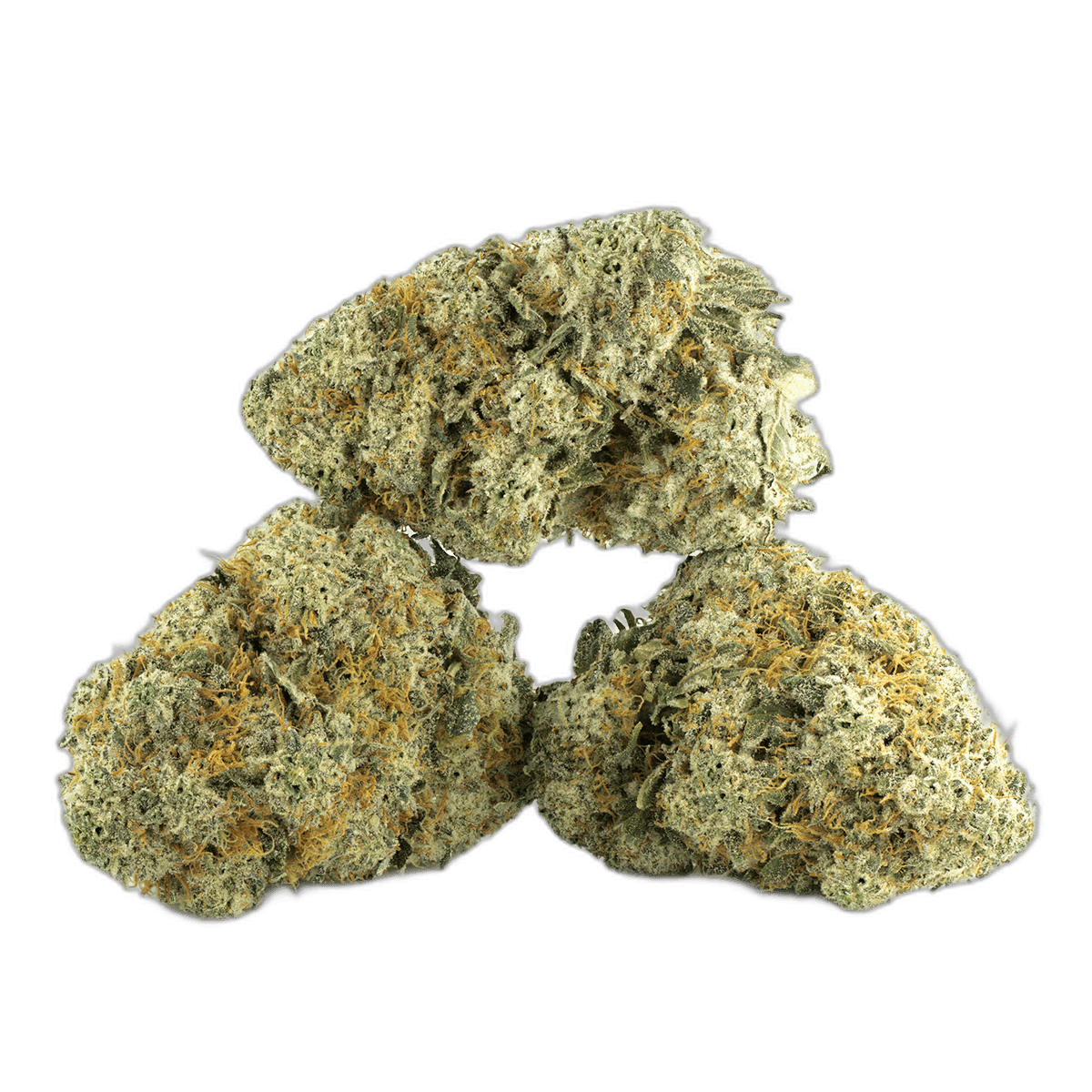 Donkey Butter by Exotic Genetix Multi Shot