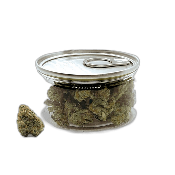 FP0O1GKAMIKAZI 2 WEED DELIVERY 1TORONTO
