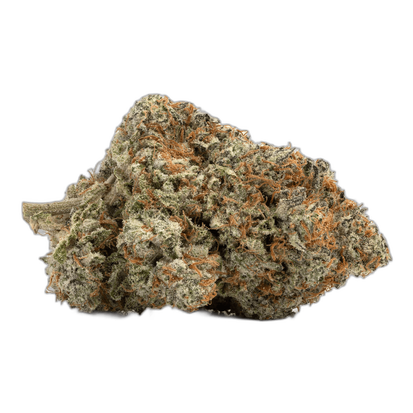 Fruit Punch