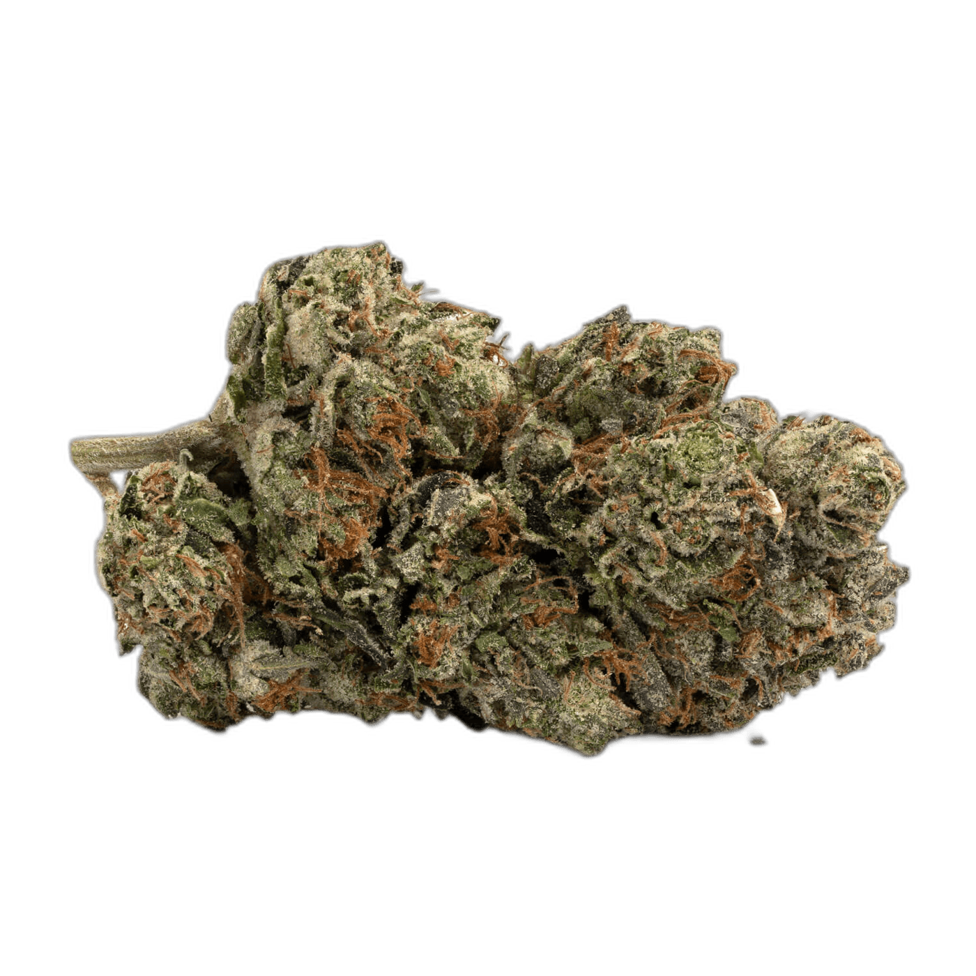 G13