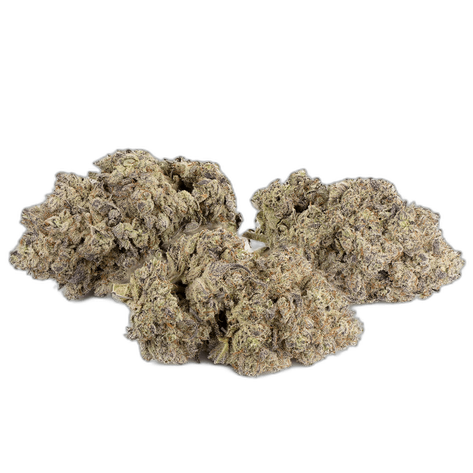 GMO Cookies Multi Shot