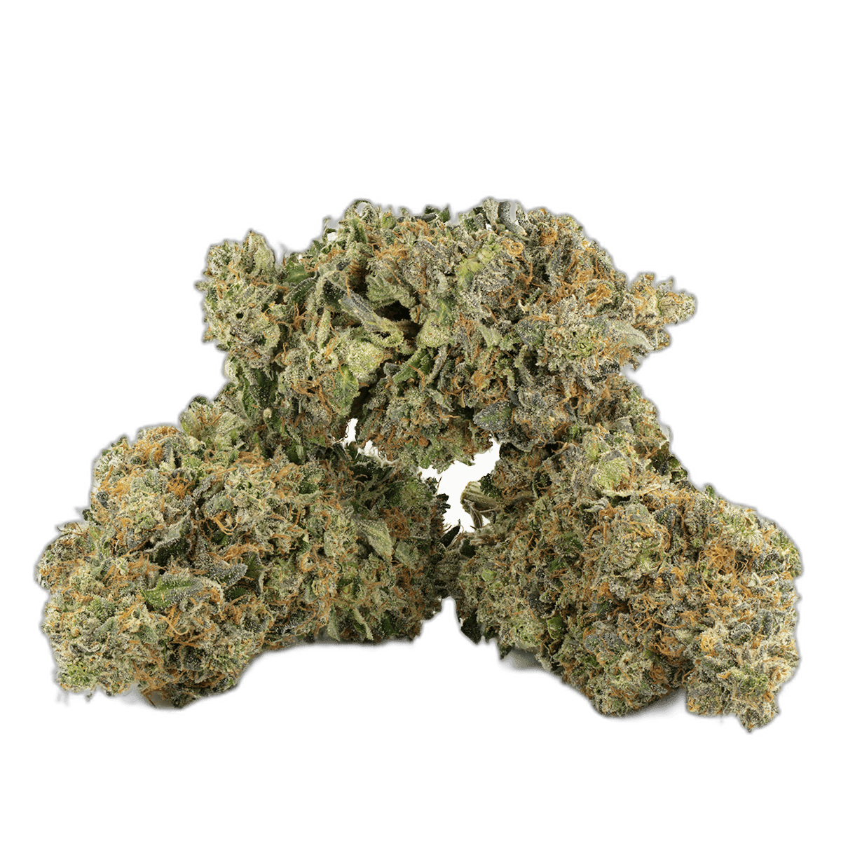 Gas Station Bob F2 Strain Multi Shot
