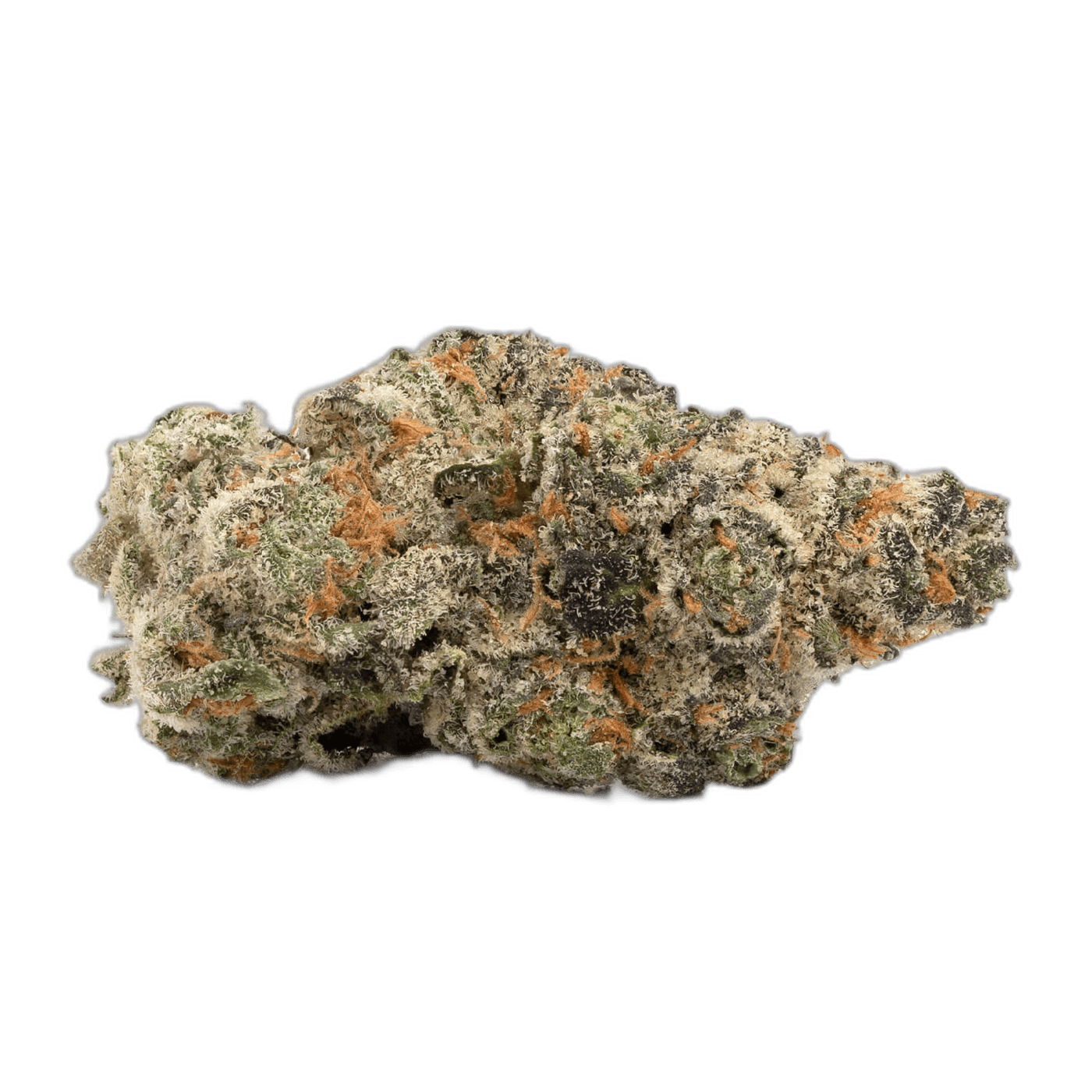 Gelato