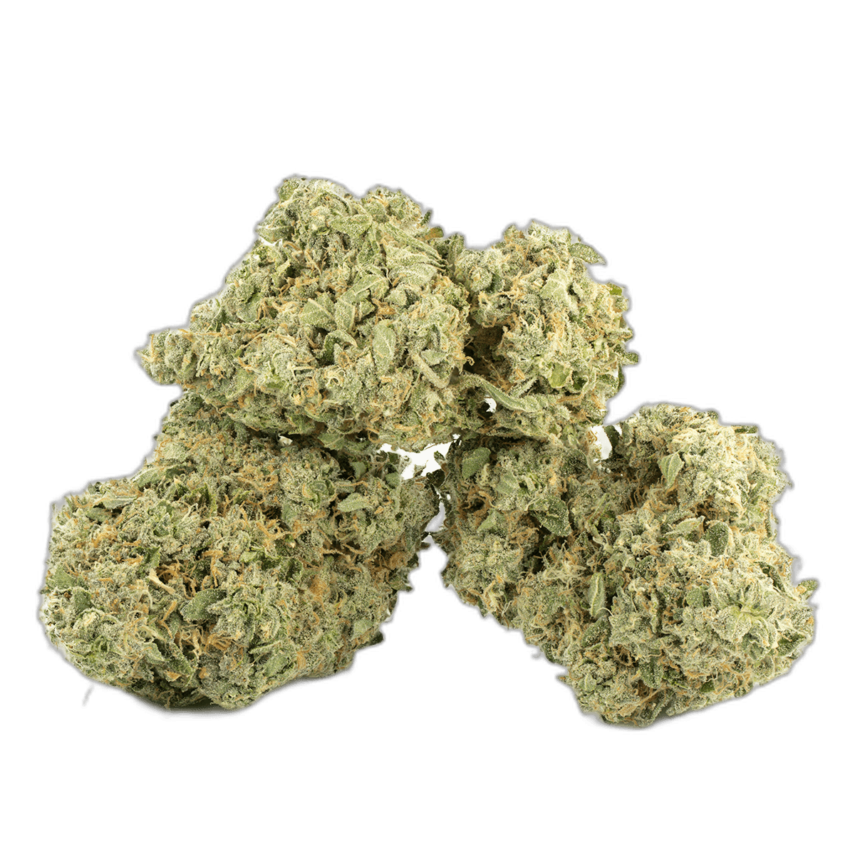 Ghost Train Haze Multi Shot