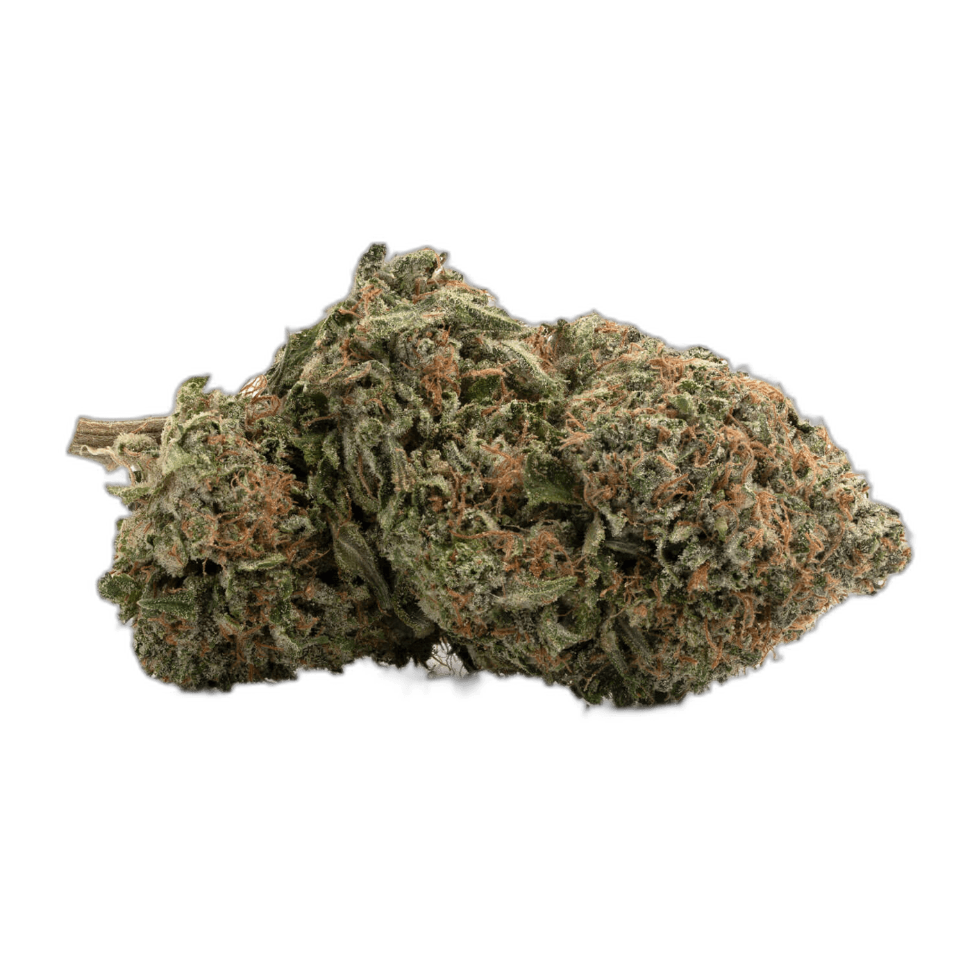 Grease Monkey